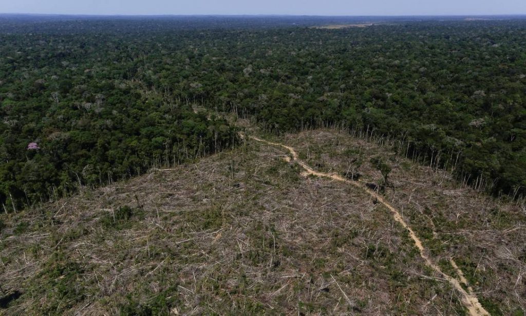 Desmatamento na Amazônia nos 12 meses até julho foi o maior em 11 anos - Geotech Consultoria