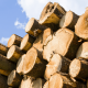 Licenças ambientais para exploração de madeira - Geotech Consultoria