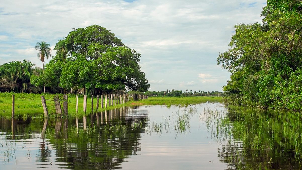 Área de Preservação Permanente - Geotech Consultoria Ambiental