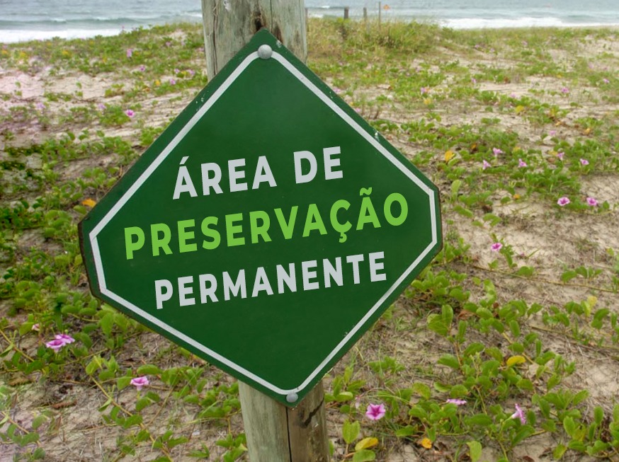 O que é uma Área de Preservação Permanente - ((o))eco