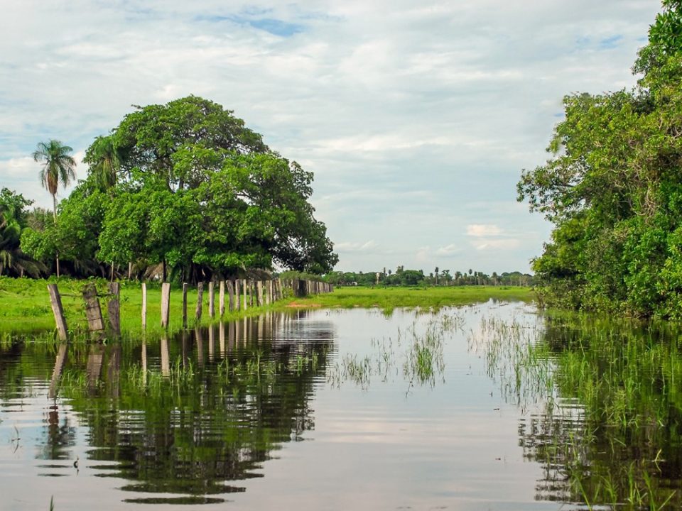 Área de Preservação Permanente - Geotech Consultoria Ambiental